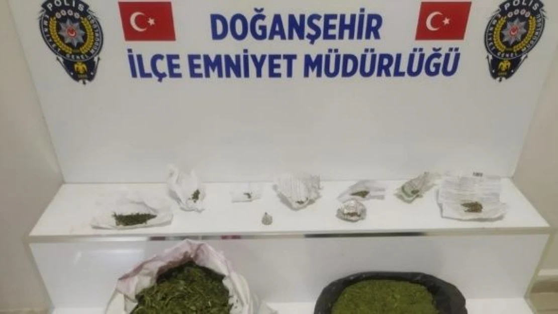 Doğanşehir'de uyuşturucu operasyonu!