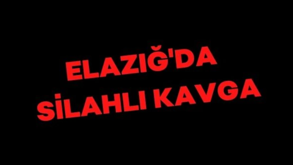 Elazığ'da silahlar konuştu