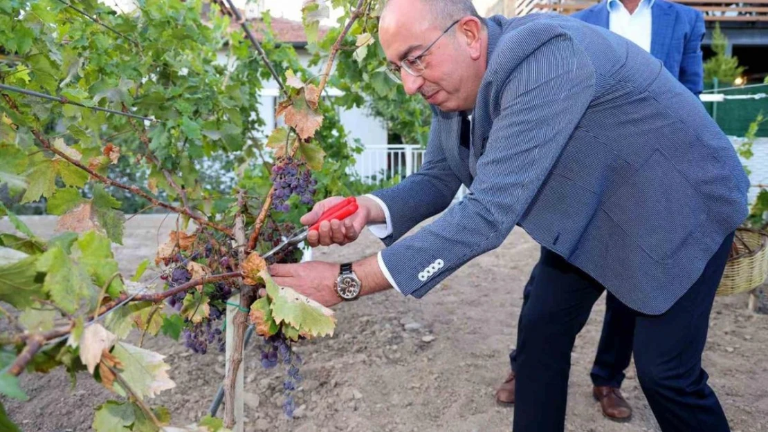 2023'ün en iyi rotası Meram Bağı