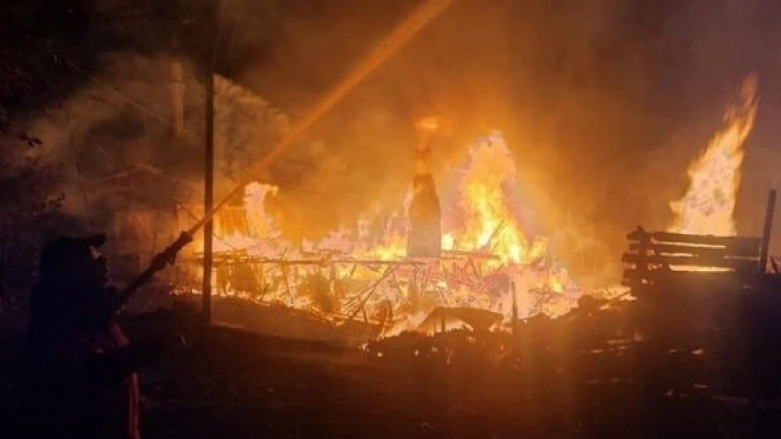 Erzincan'da çıkan yangın bir köyü küle çevirdi