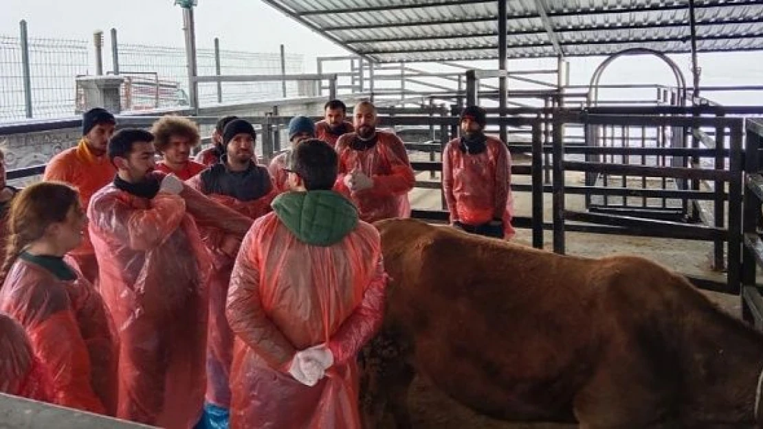 Kars bölgesi VHO'nun bakanlık onaylı kursu başladı