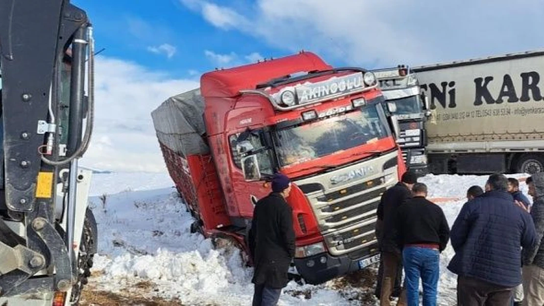 TIR çarptığı kamyonu şarampole yuvarladı