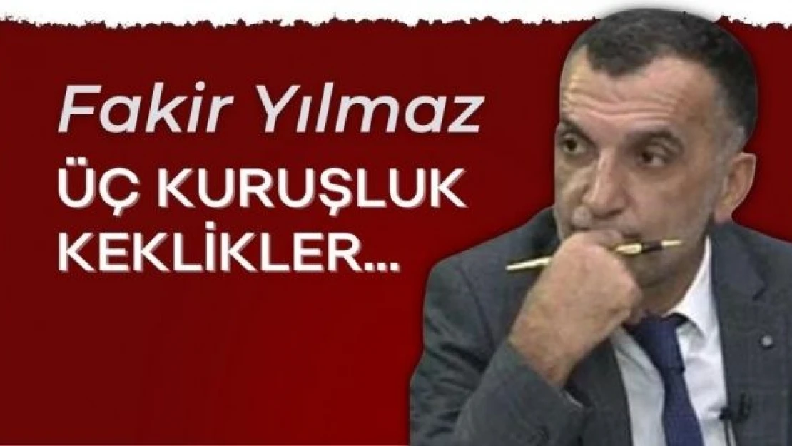 Üç kuruşluk keklikler…