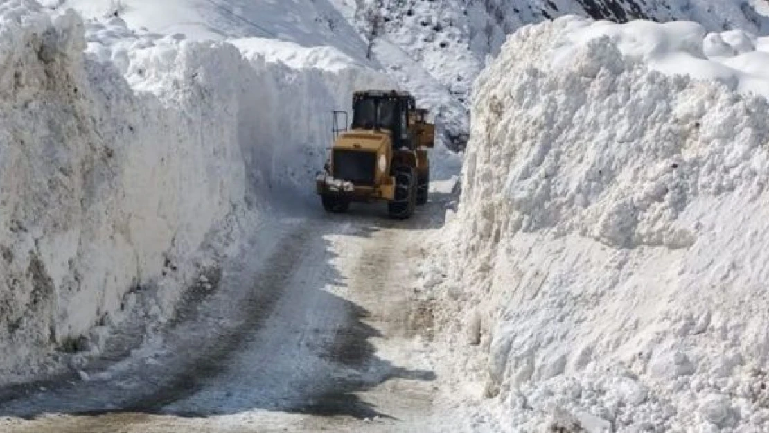 Van'da çığ düştü