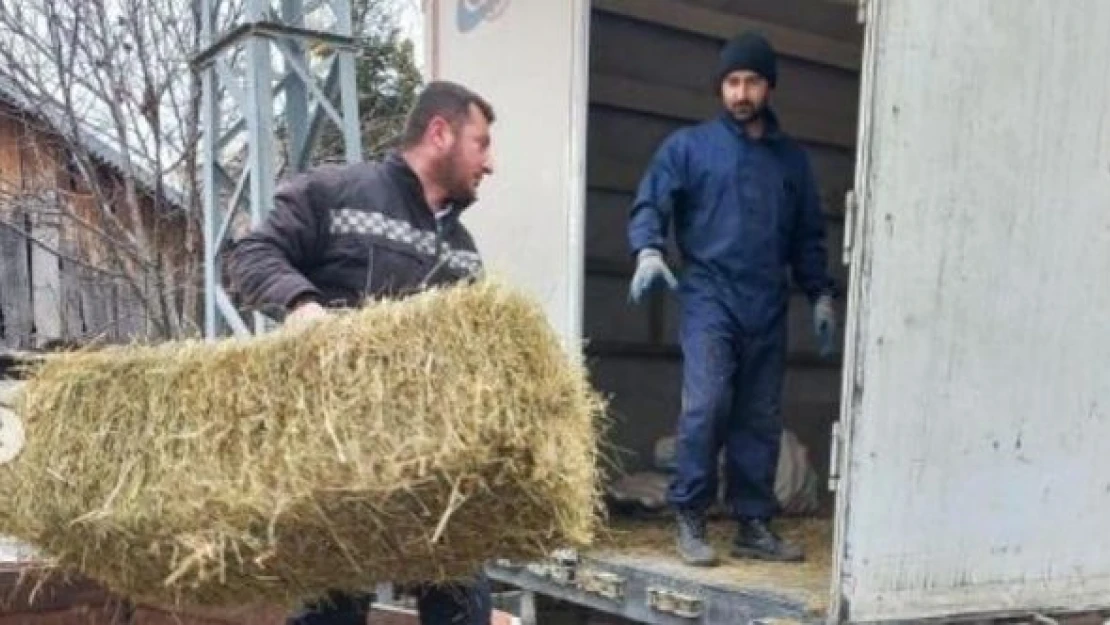 Ardahan'dan deprem bölgesindeki çiftçiye destek