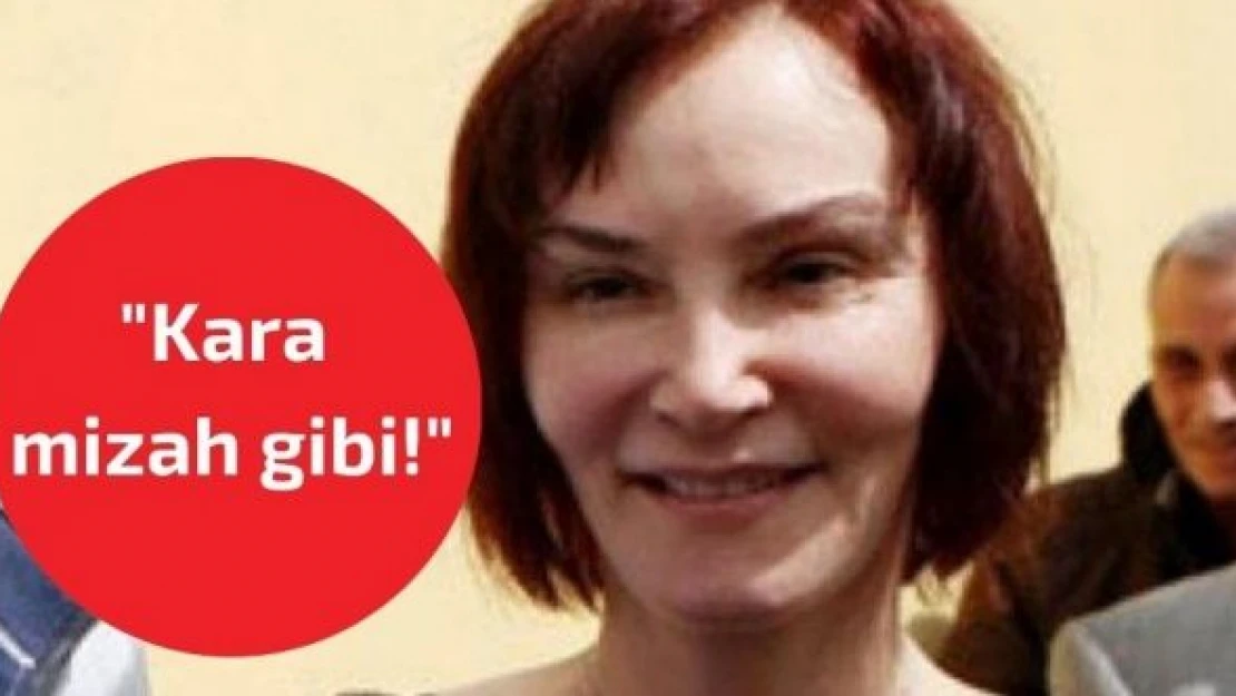 Aslı Baykal'dan 'İcracı Cumhurbaşkanı' tepkisi