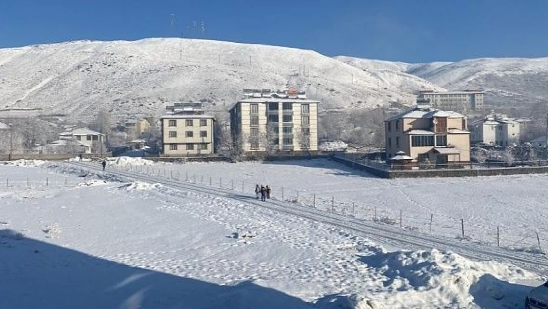 Bingöl'de mart kazma kürek yaktırdı