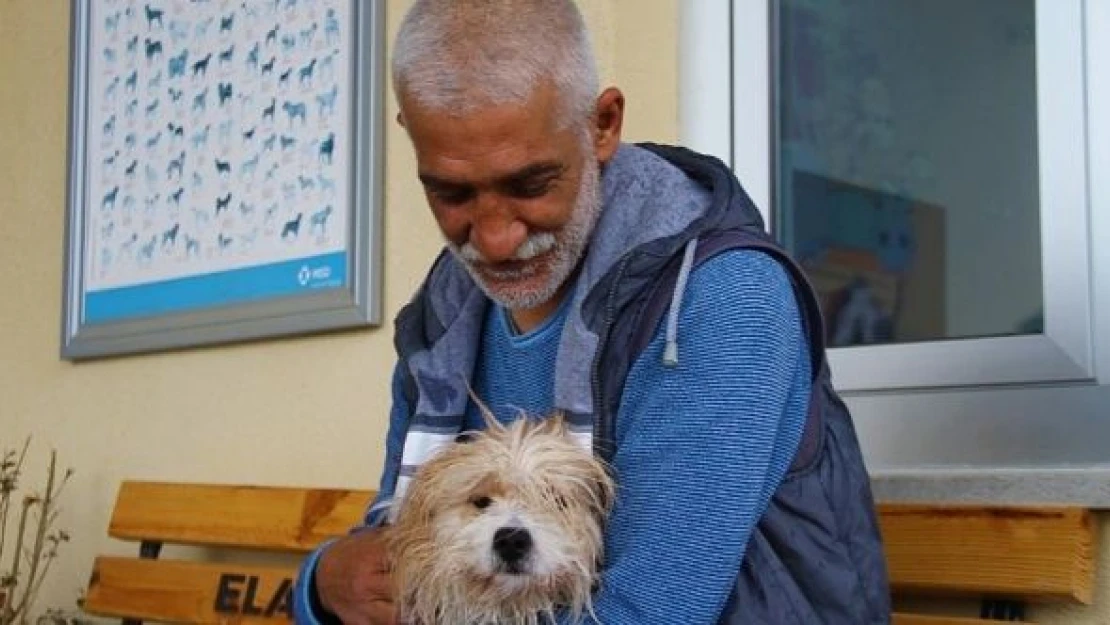 Çalınan köpeği bin 300 km uzaklıkta bulundu