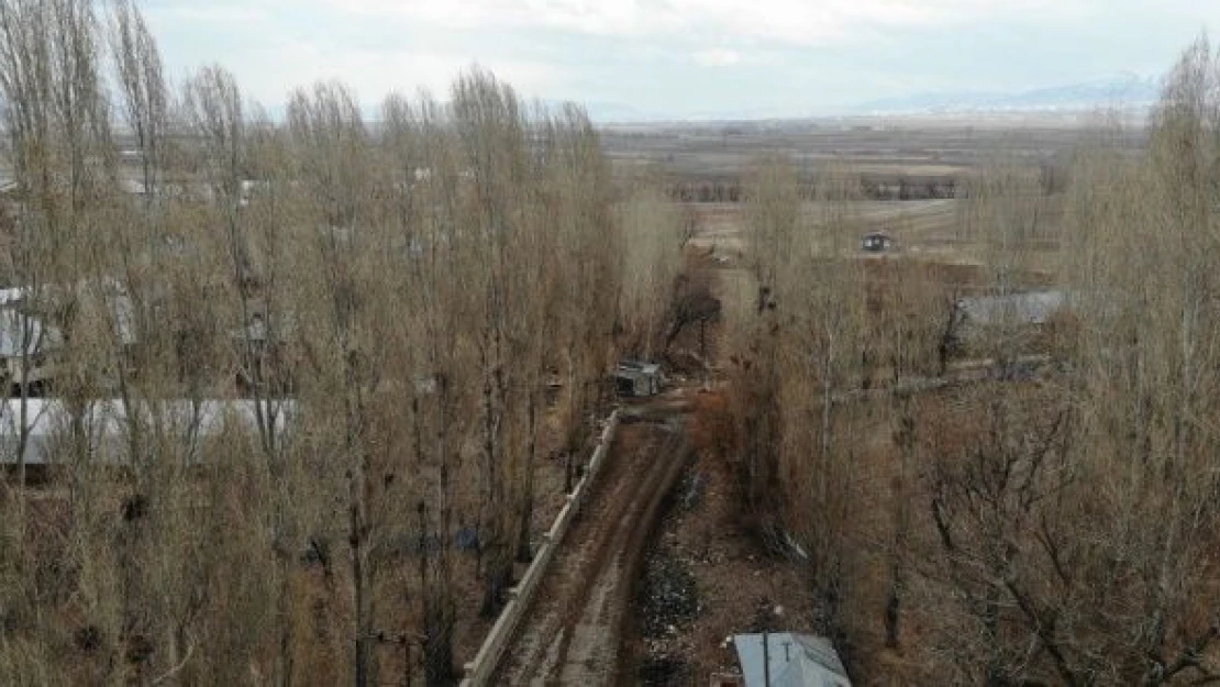 Erzurum'da karga istilası