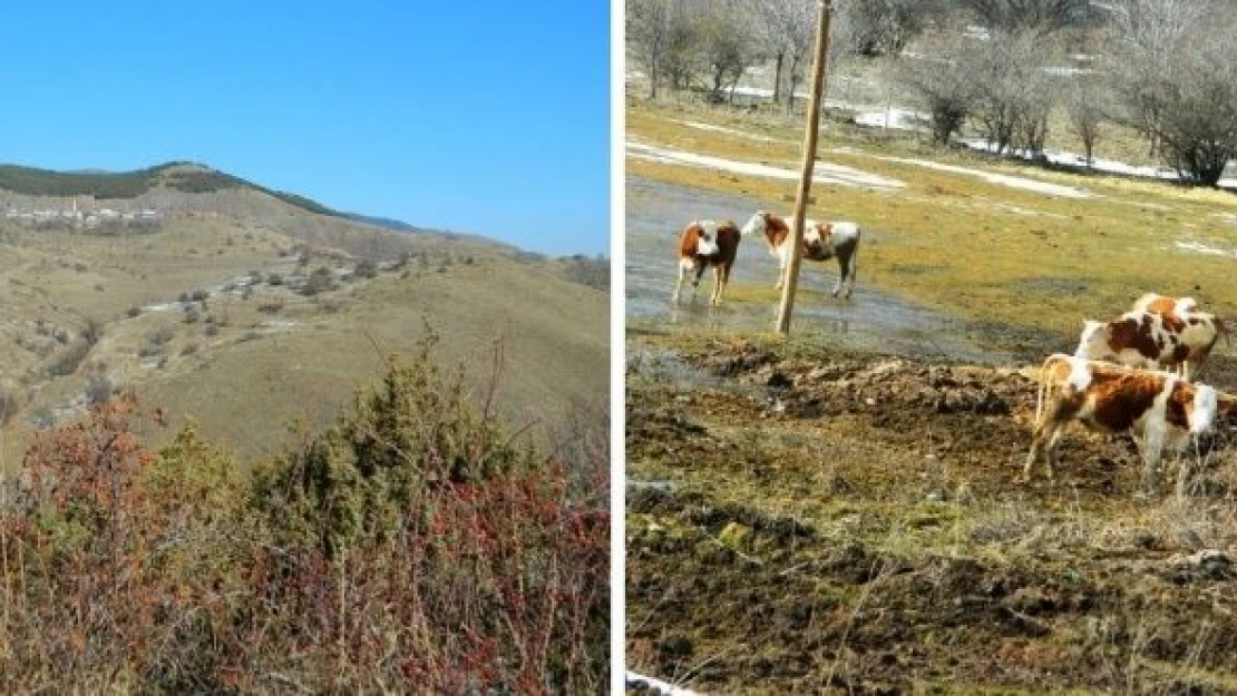 Posof'a bahar geldi