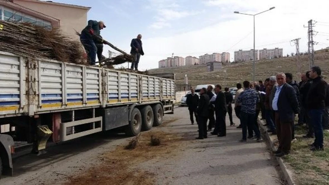 Van'da meyve yetiştiricilerine destek