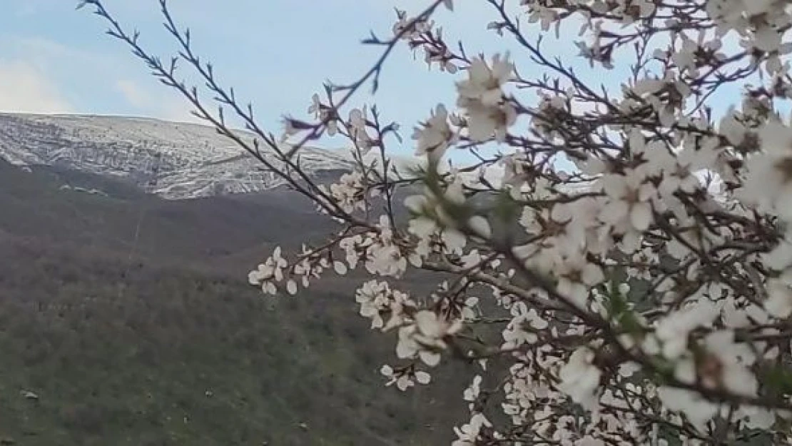 Bingöl aynı anda iki mevsim yaşıyor