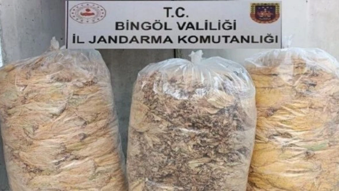 Bingöl'de tütün operasyonu