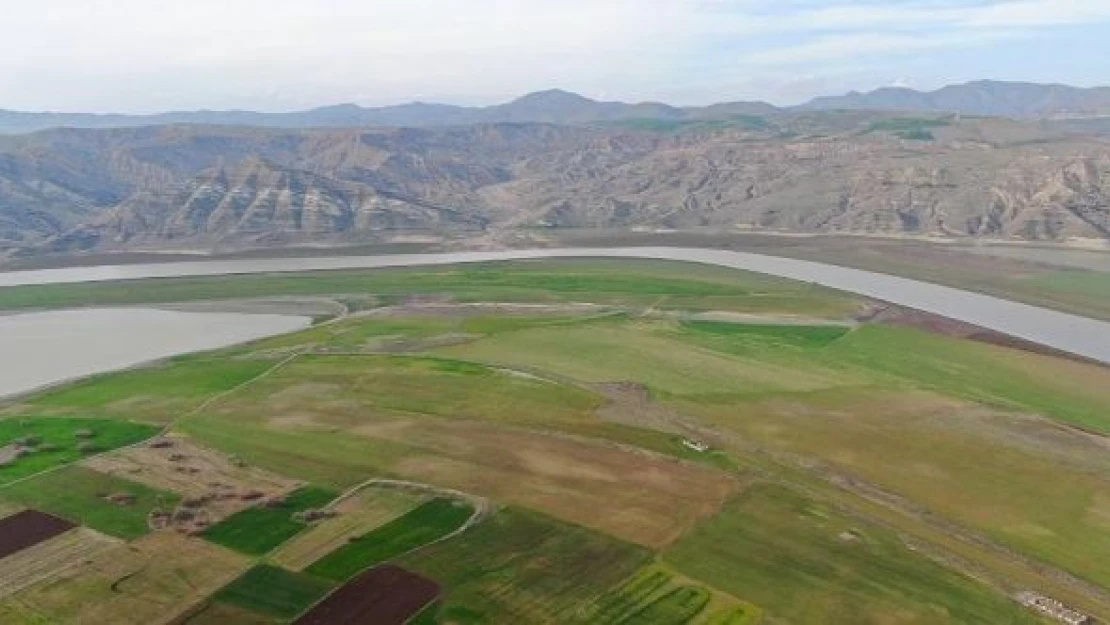 Çiftçilerin kumarı: Baraj sahasında tarım