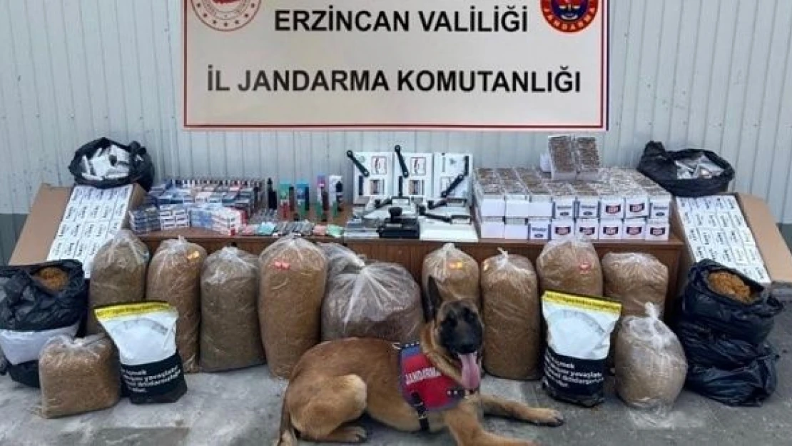 Kaçakçılıkla mücadele hız kesmeden sürüyor