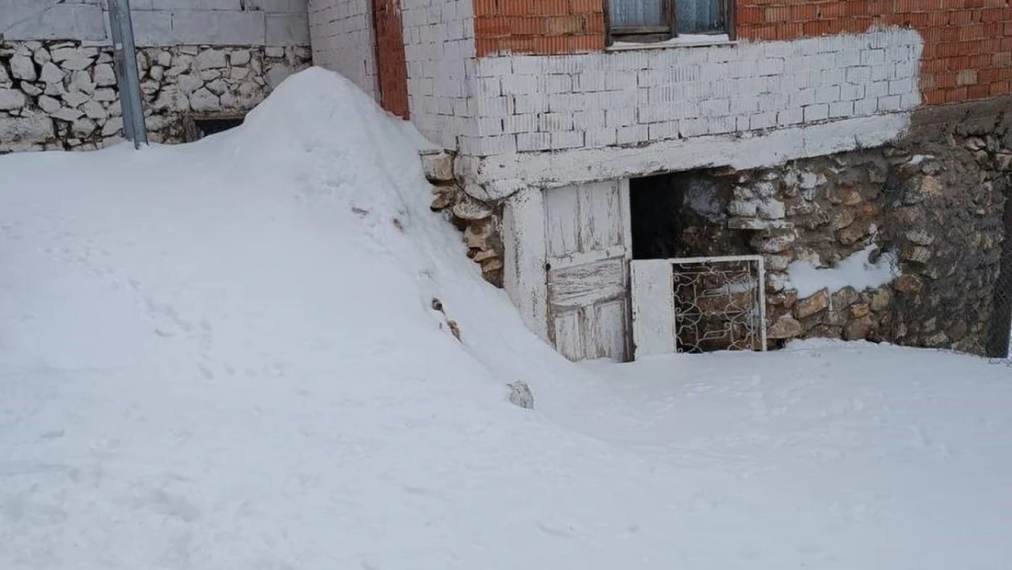 207 seçmenin bulunduğu köyde yalnızca 3 kişi yaşıyor