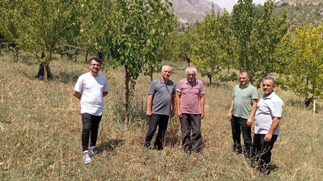 74 yaşındaki Kemaliyeli öğretmen 19 bin ağacı toprakla buluşturdu