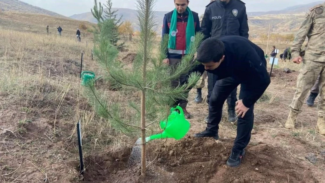 Adaklı'da fidan dikimi yapıldı