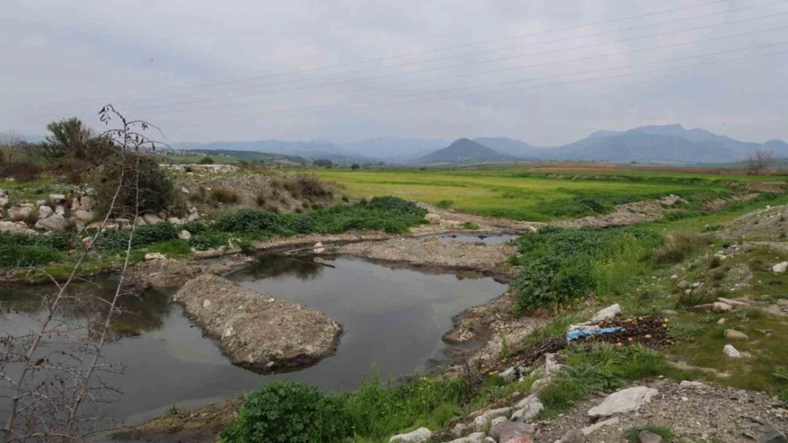 Adana'da dereyi kirleten fabrikaya para cezası uygulandı