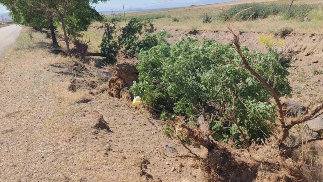 Adilcevaz'da toz fırtınası hayatı felç etti