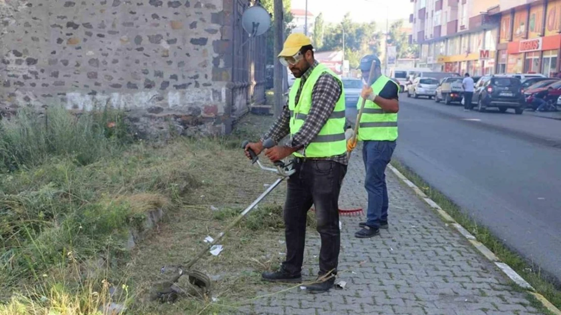 Ağaçlar budanıp yabani otlar temizlendi