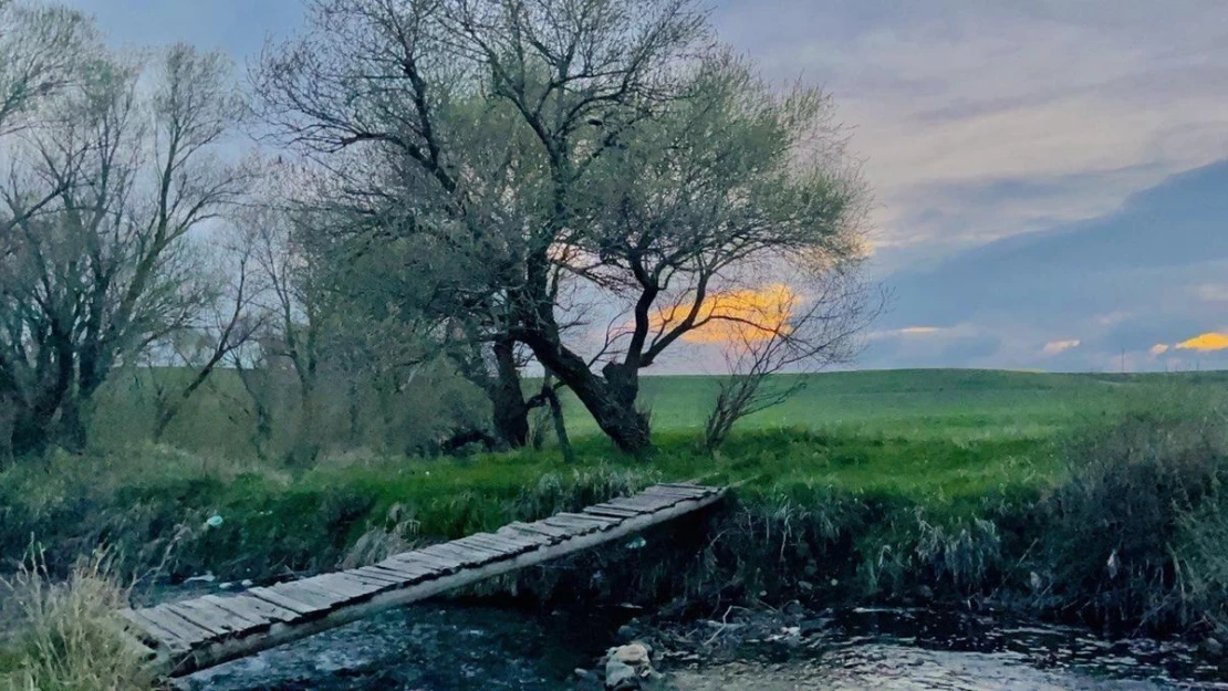 Ağrı baharla beraber renklere boyandı