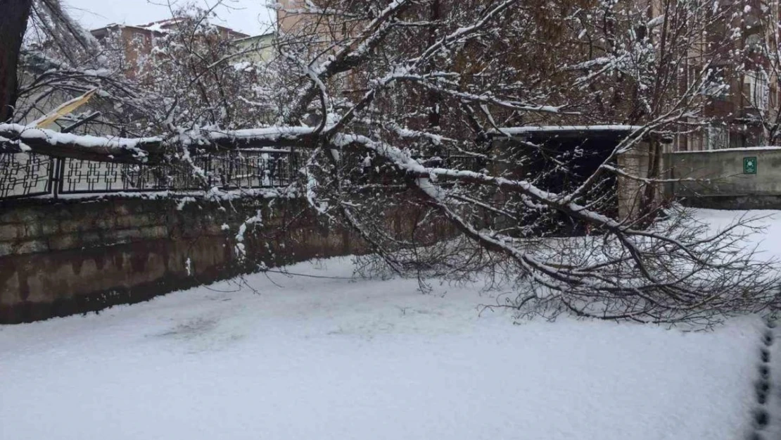 Ağrı'da bahar havası yerini kara bıraktı