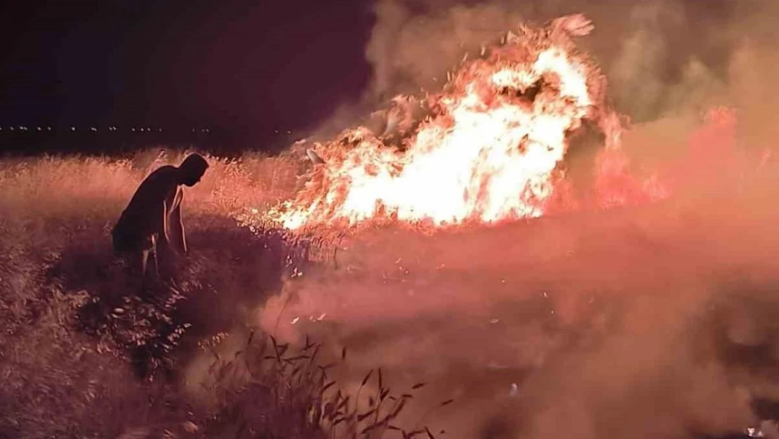 Ağrı'da bir tarla küle döndü