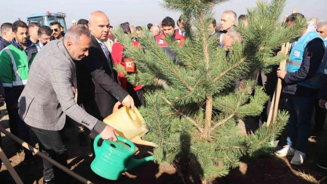 Ağrı'da fidanlar toprakla buluştu