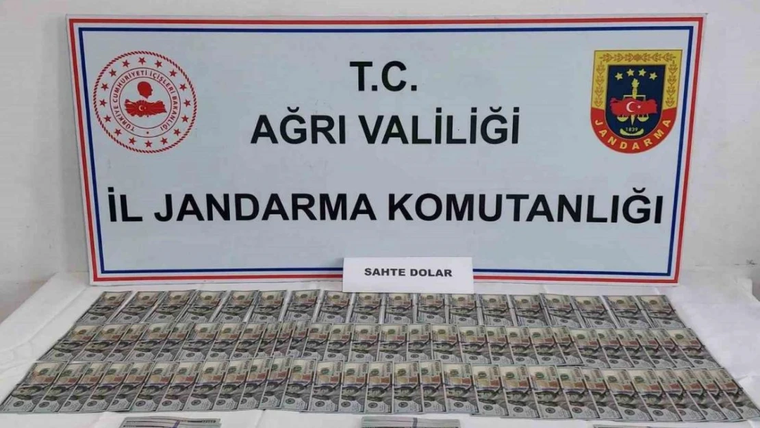 Ağrı'da Jandarmadan sahte dolar operasyonu