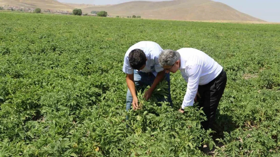 Ağrı'da patates üreticilerine destek