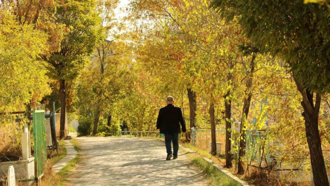 Ağrı'da sonbahar güzelliği hayran bırakıyor