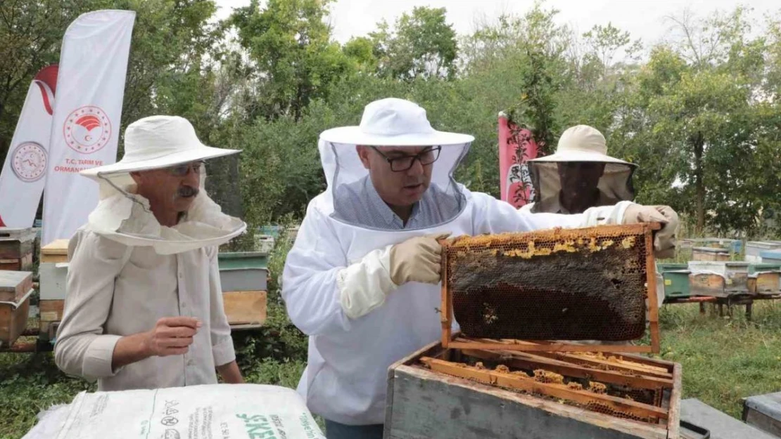 Ağrı'nın tescilli Geven Balından 400 ton verim hedefleniyor