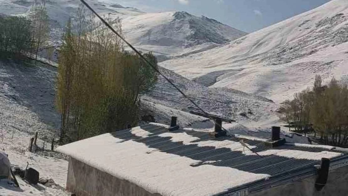 Ağrı'nın yüksek kesimleri Mayıs ayında karla kaplandı