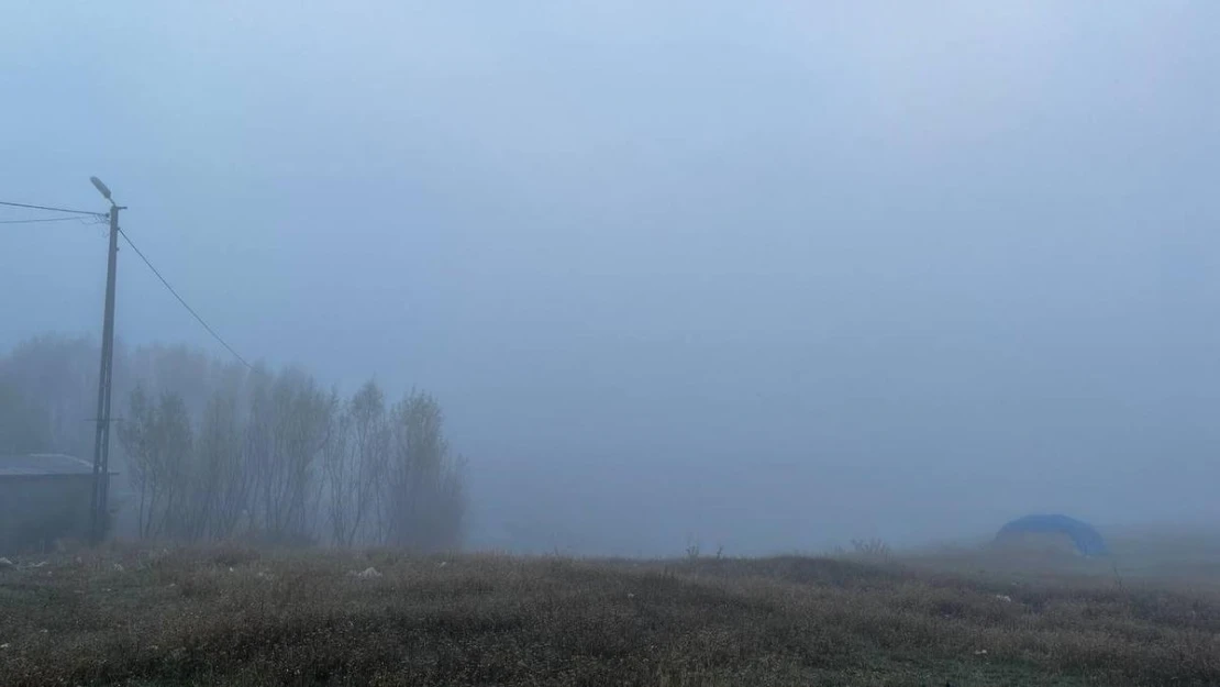 Ağrı soğuk havanın etkisine girdi