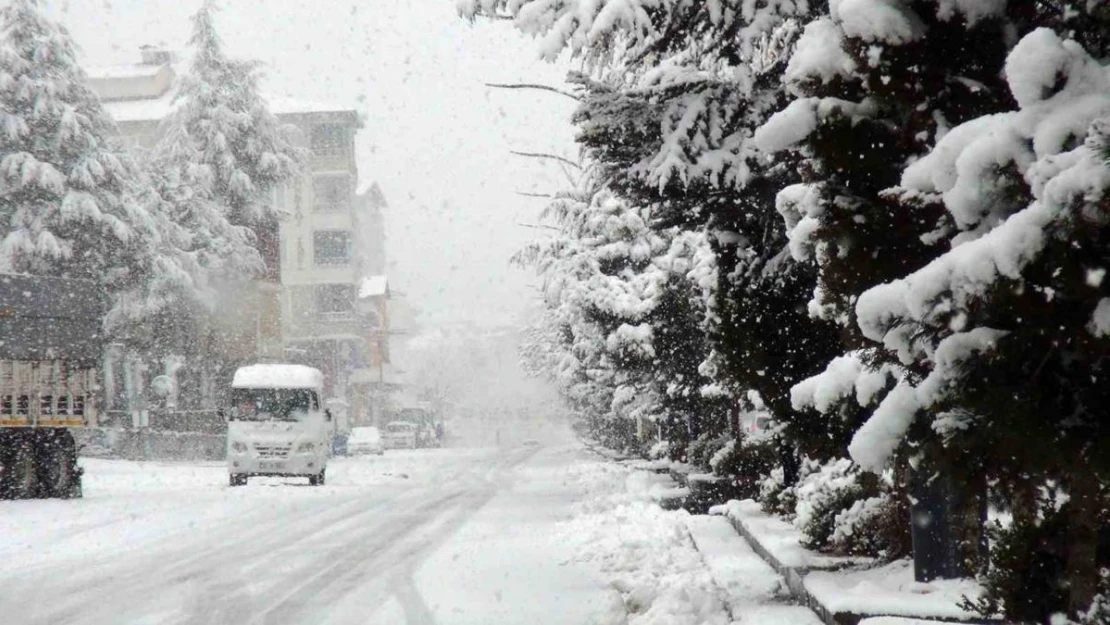 Ahlat'ta mart karı etkili oluyor