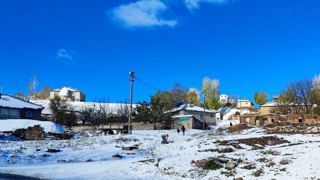 Ahlat'ta mevsimin ilk karı yağdı