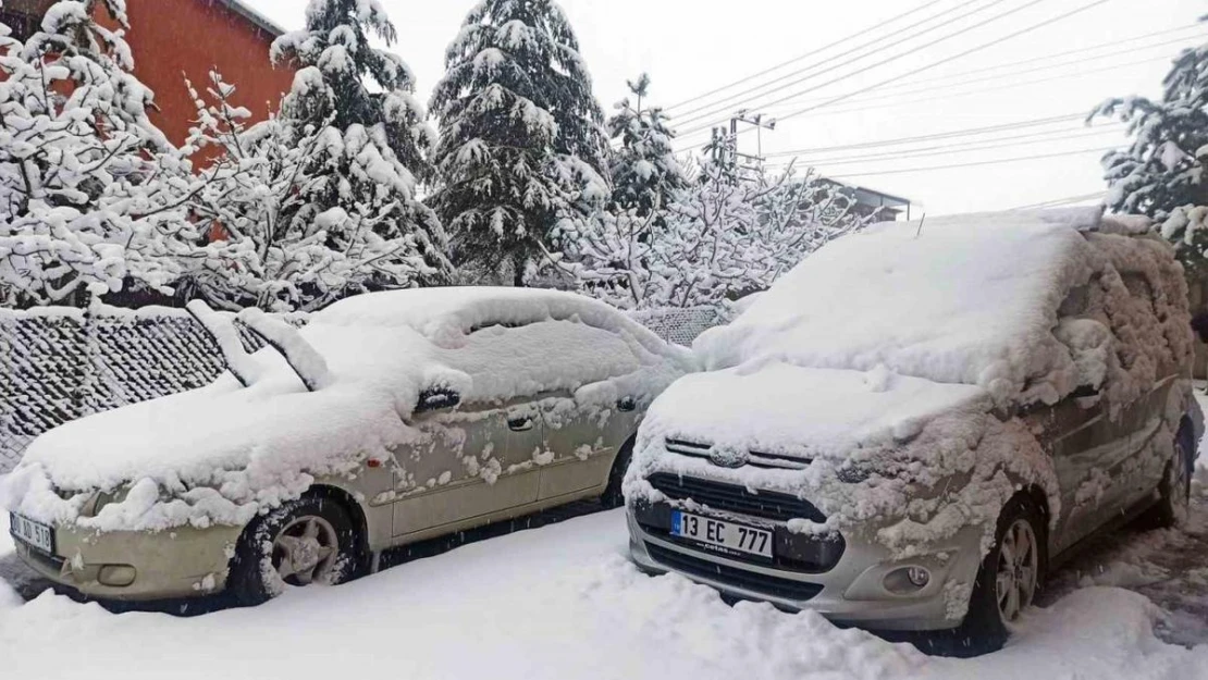 Ahlat'ta yoğun kar yağışı