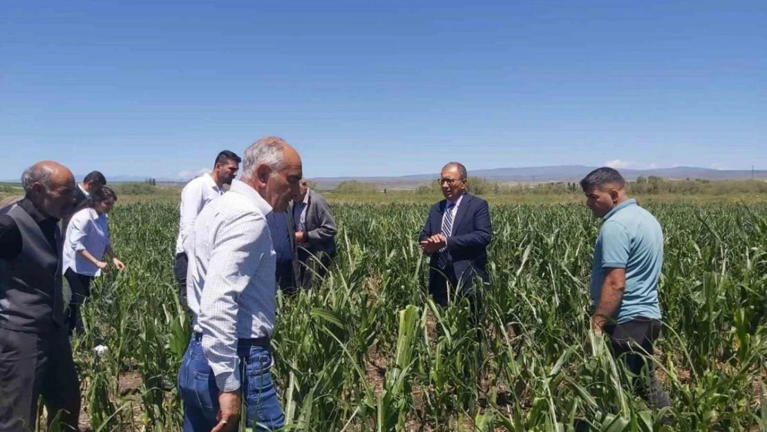 Akyaka'da ekili arazilerde hasar tespit çalışmaları sürüyor