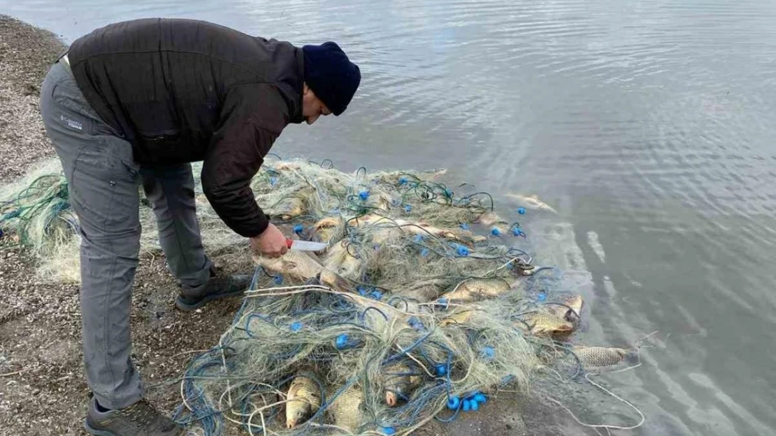 Alaca'da bin 700 kaçak ağ yakalandı