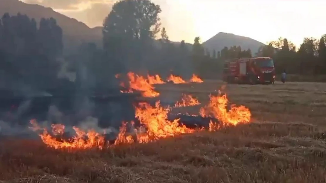 Anız yangını itfaiyenin müdahalesiyle söndürüldü