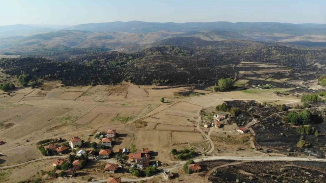 Ankara-Bolu sınırında yanan bölge dronla görüntülendi