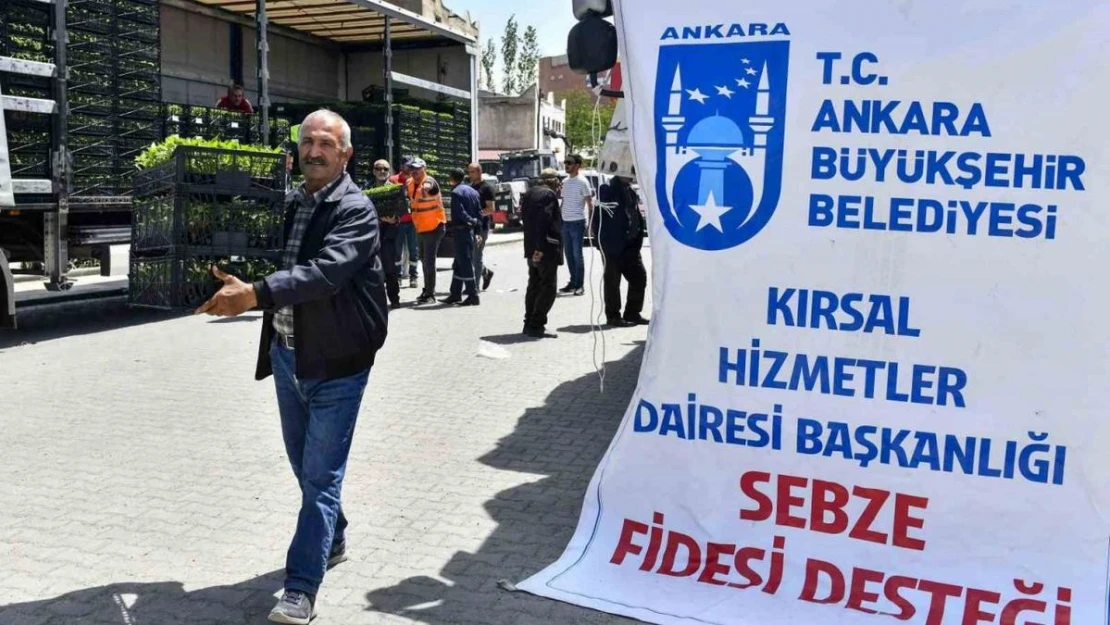 Ankara Büyükşehir Belediyesinin sebze fidesi dağıtımı tekrar başladı