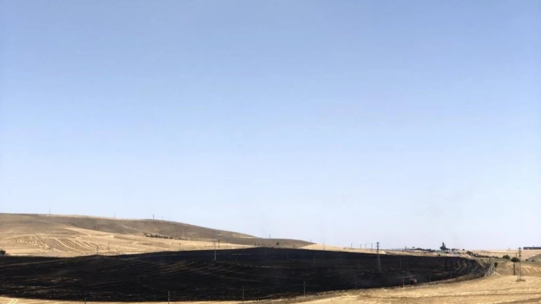 Ankara'da 100 dekarlık buğday tarlası yangını