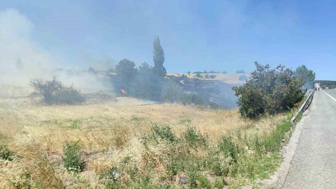 Ankara'da anız yangını kontrol altına alındı