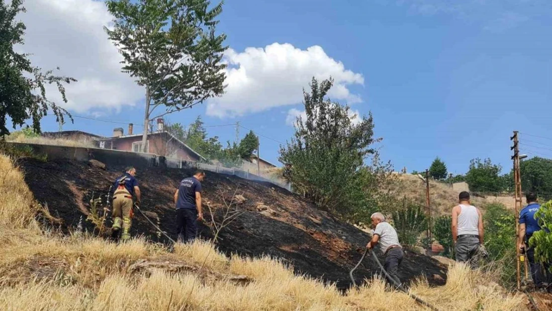 Ankara'da otluk alanda yangın