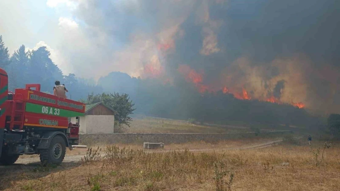 Ankara Kızılcahamam'da ormanlık alanda yangın çıktı