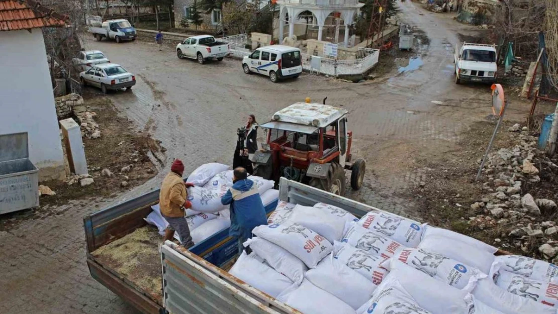 Antalya Büyükşehir'den besicilere,  yüzde 15'i hibeli süt yemi desteği başladı