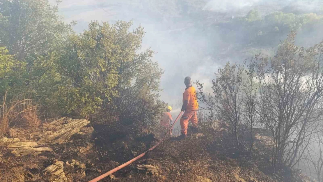 Antalya'da orman yangını