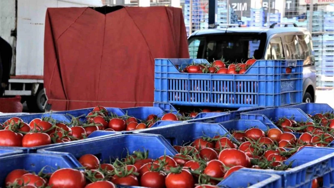 Antalya'da sebze miktarı azaldı, fiyatlar arttı